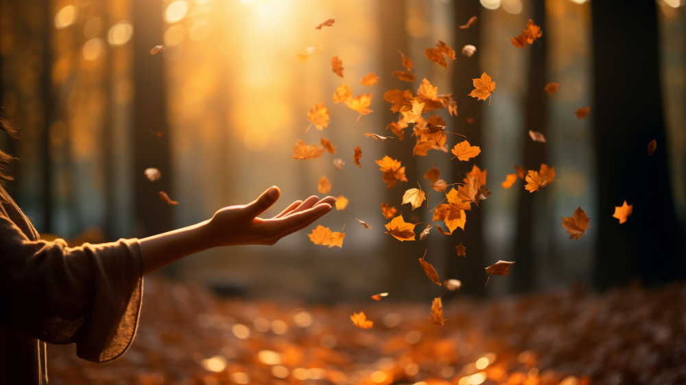 newsletter_vibra_autunno